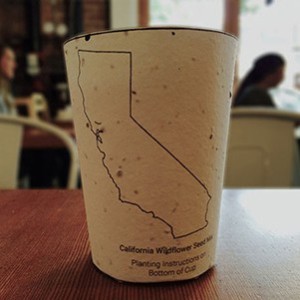 biodegradable-coffee-cup-300x300[1]